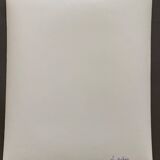 Silver photo Bernard Darot 20th Les Mélèzes