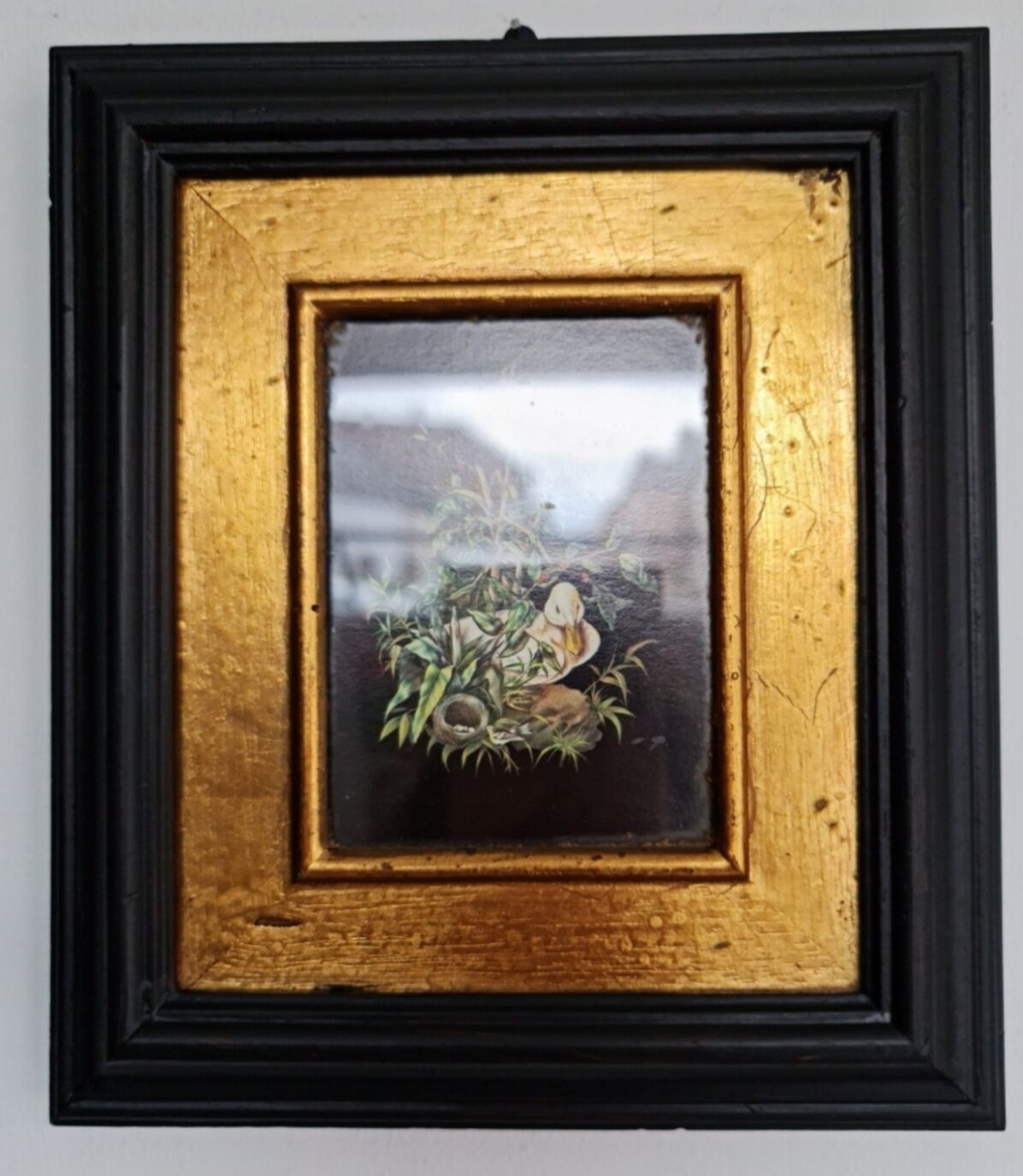 Old frame black and gold bird drawing