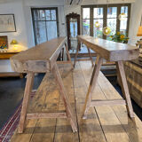 Pair of bench 19 th