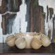 Service stoneware Village France salad bowl and its 8 cups, sangria service or