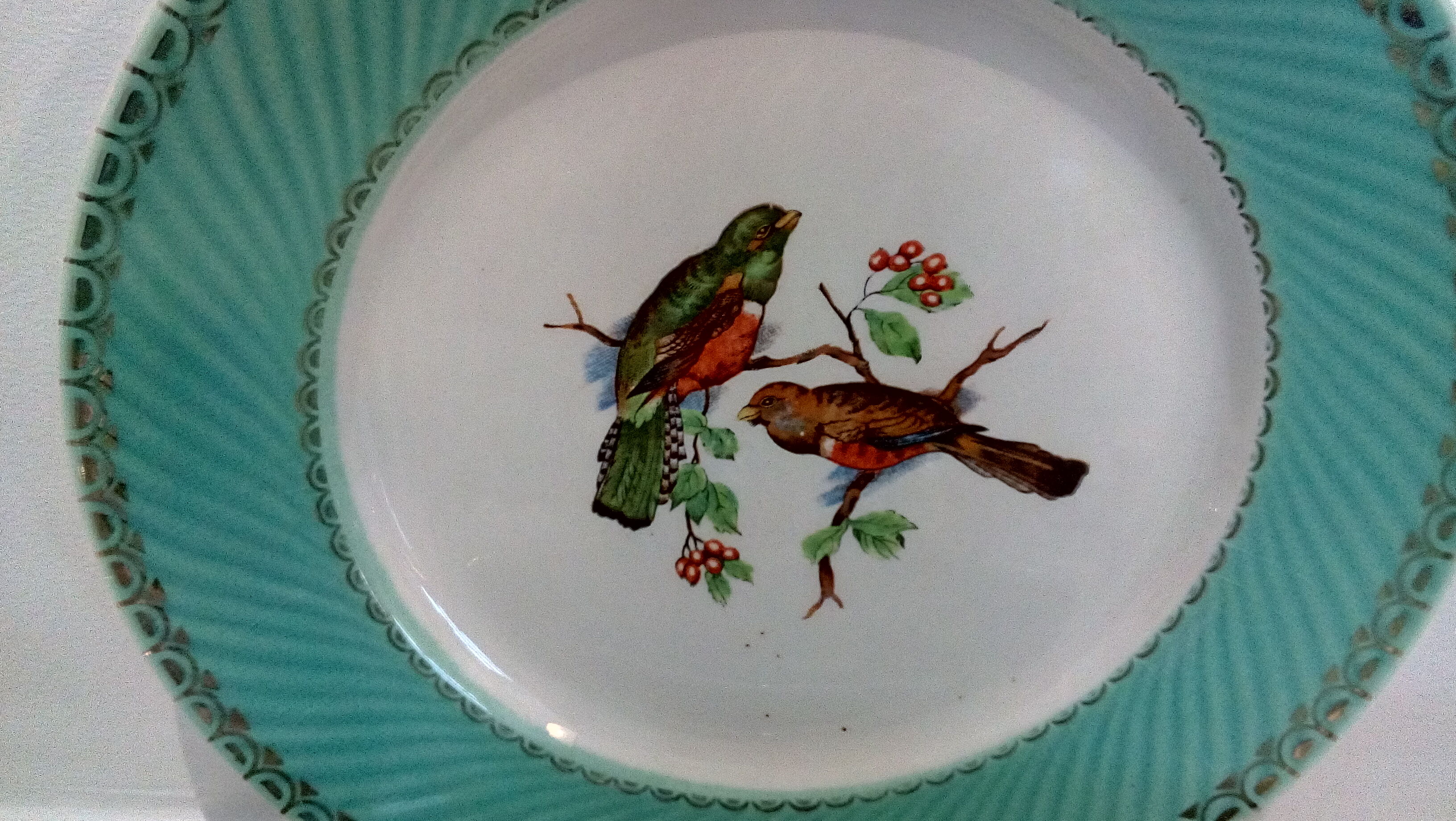 Flat plates water green birds