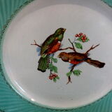 Flat plates water green birds