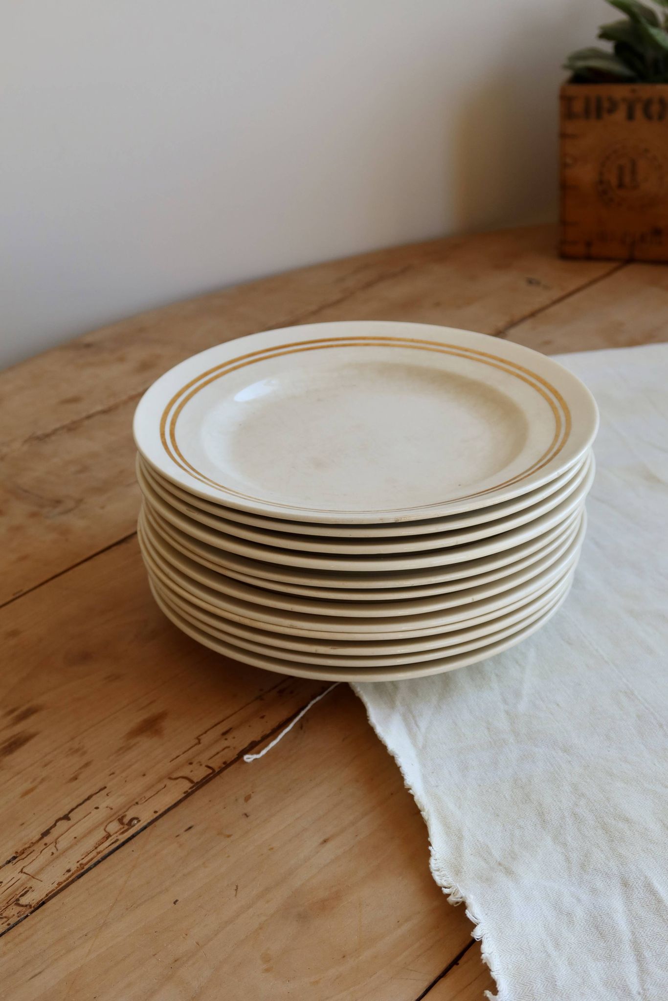 6 plates vintage faïence ivoire liserées dorés