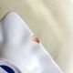 Delft porcelain pocket-empty ashtray