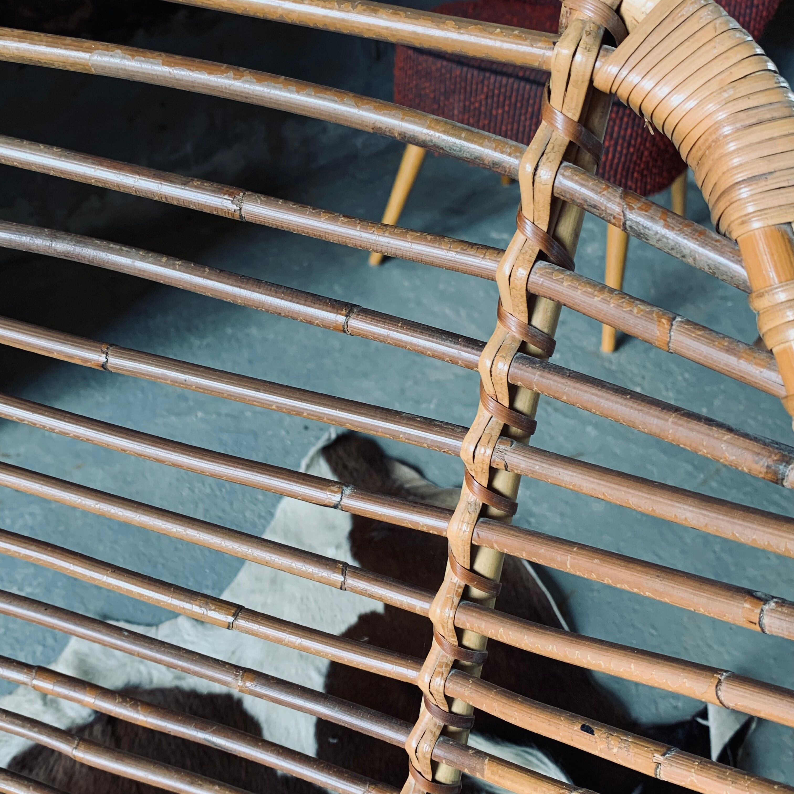 Rattan armchair and black metal base 1960