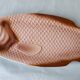 Fish dish Salins-les-Bains