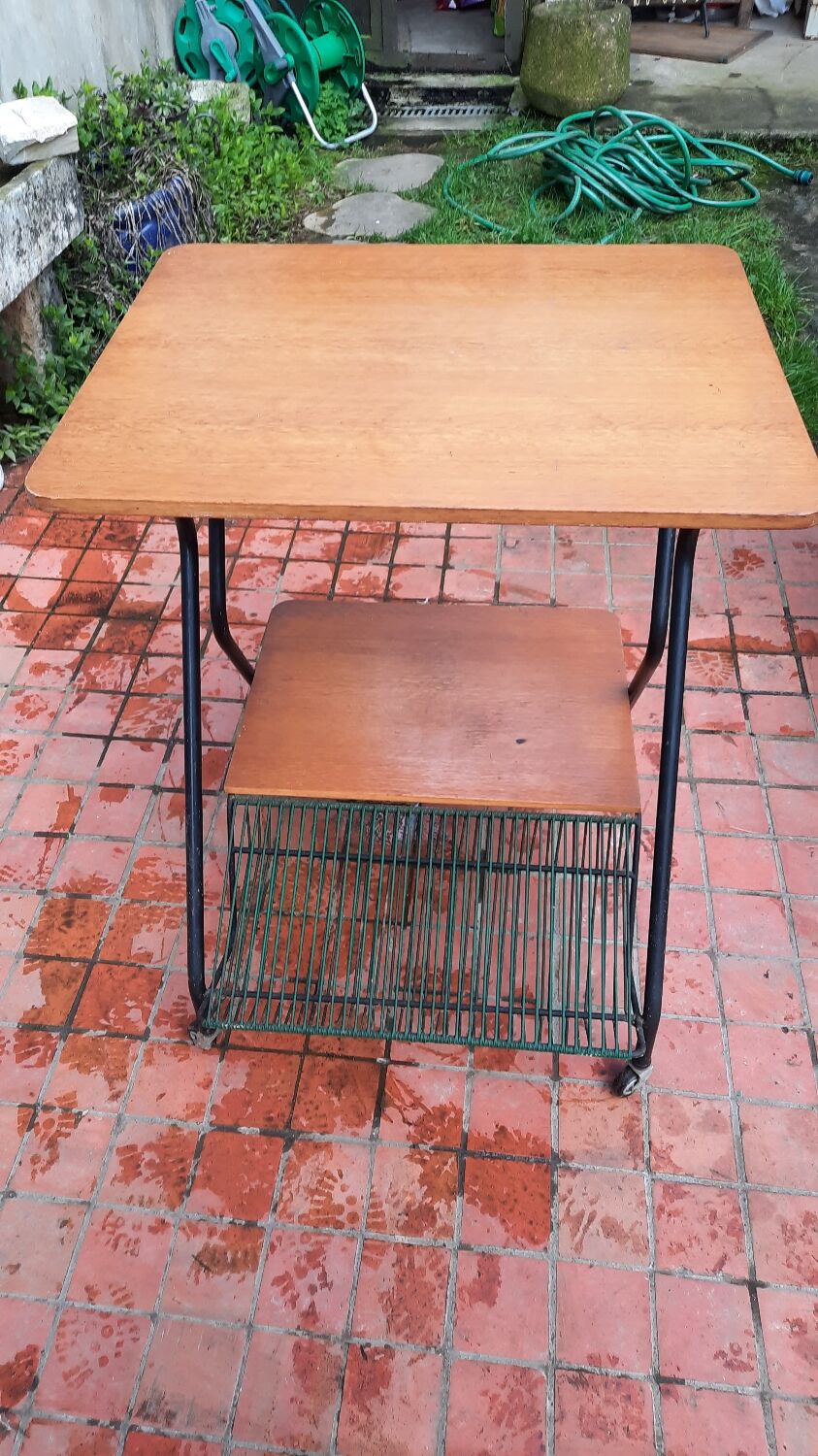 Trolley on wheels with vinyl door