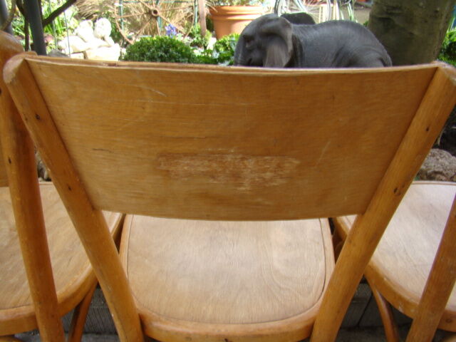 Lot of six old bistro chairs