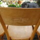 Lot of six old bistro chairs