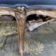 Complete living room louis XV style gilded wood 1900