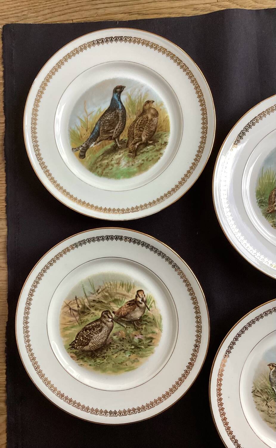 Flat plates PL Emaux Limoges Fafrique Mehun