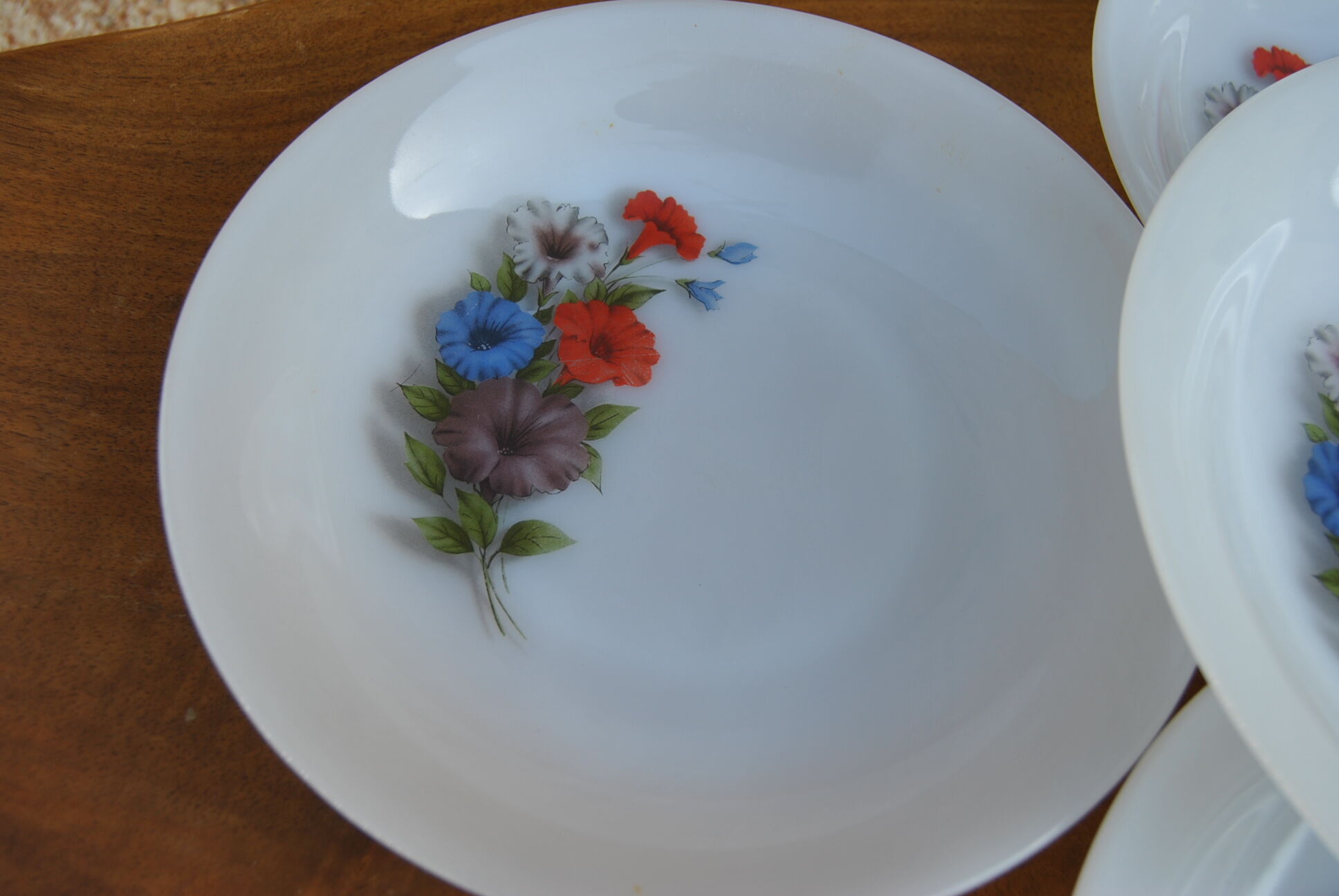 Set of 10 plates flowers of the fields - Arcopal - 70s - Vintage authentic