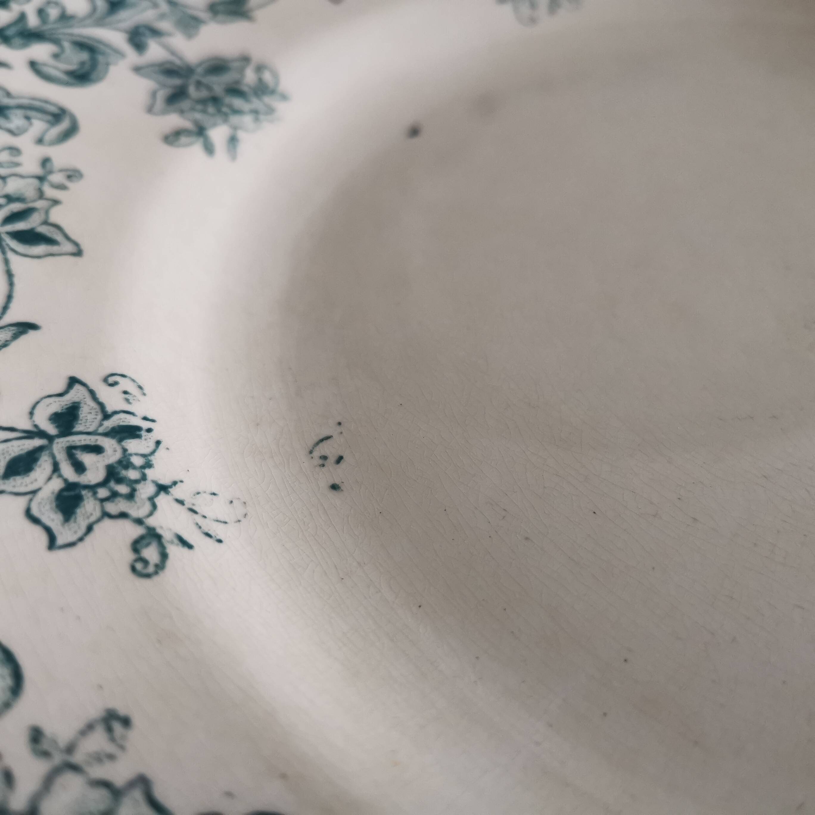 7 Jane model flat plates with dark green floral decoration Saint-Amand
