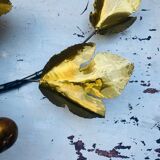 Applique murale feuilles dorées