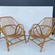 Pair of rattan drivers from the 50s