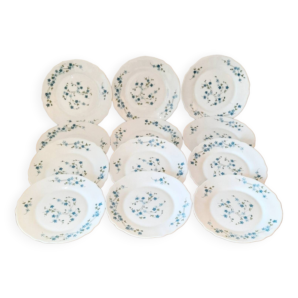 Lot De 4 Assiettes à Dessert Arcopal Myosotis – Motif Floral Veronica – Diamètre 16-20cm