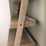 Ladder shelf