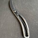 Poultry pruning shears – Hammered stainless steel - Germany