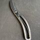 Poultry pruning shears – Hammered stainless steel - Germany