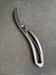 Poultry pruning shears – Hammered stainless steel - Germany