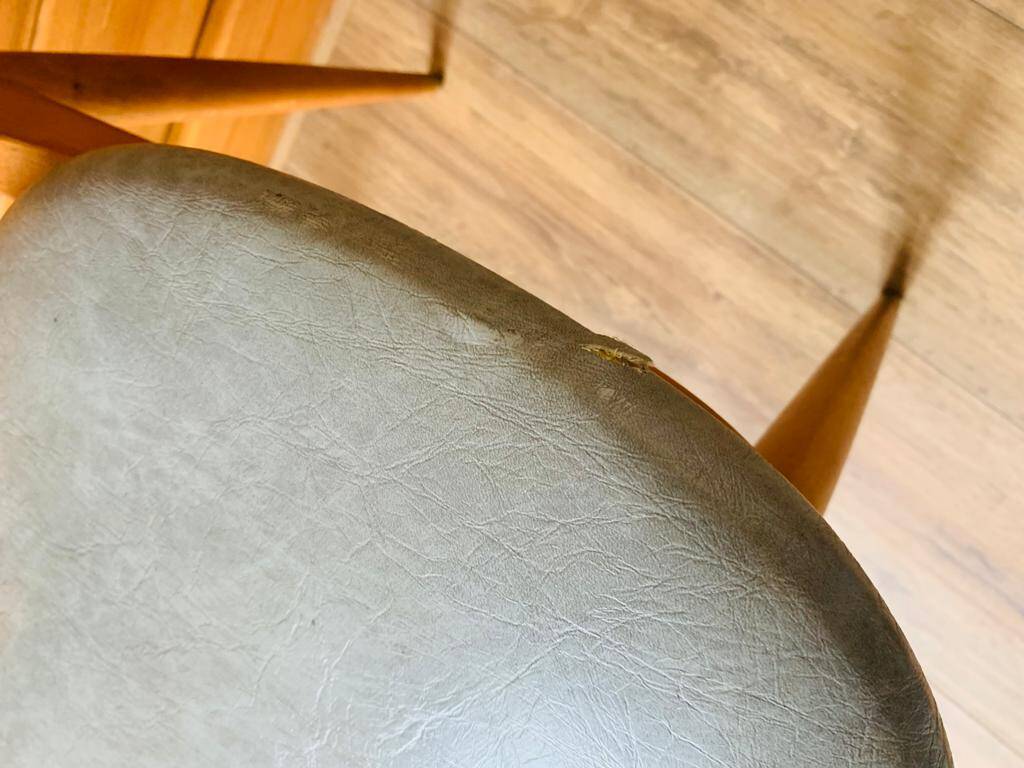 Pair of Pegase chairs by Baumann