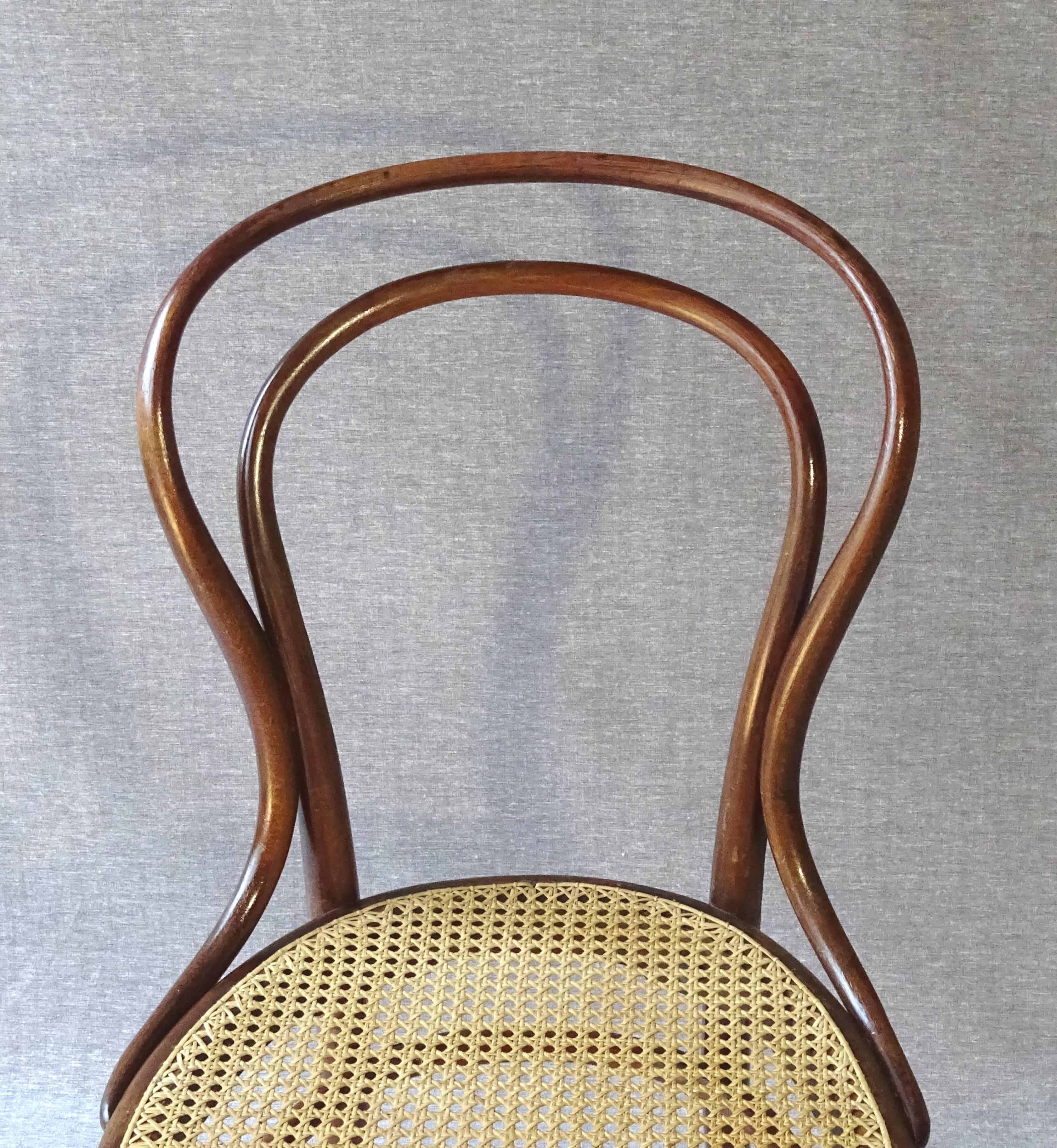 Chair KOHN N°31, circa 1880 canning new
