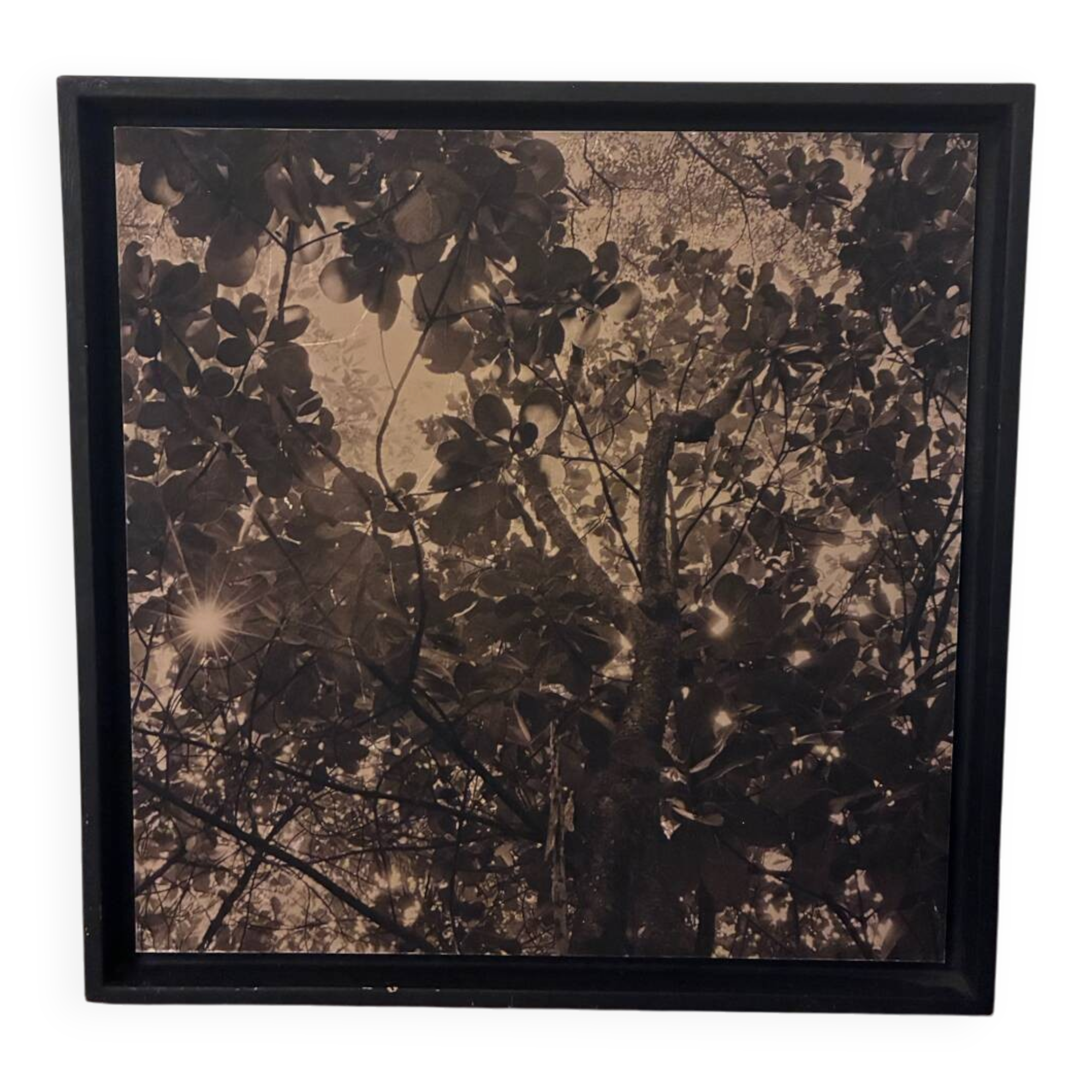 Photography Manuel Bougot – "Journey to the Antilles" – Print 1/25