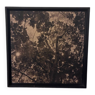 Photography Manuel Bougot – "Journey to the Antilles" – Print 1/25