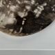 Dish in petrified wood