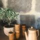 3 tasses en grès brun