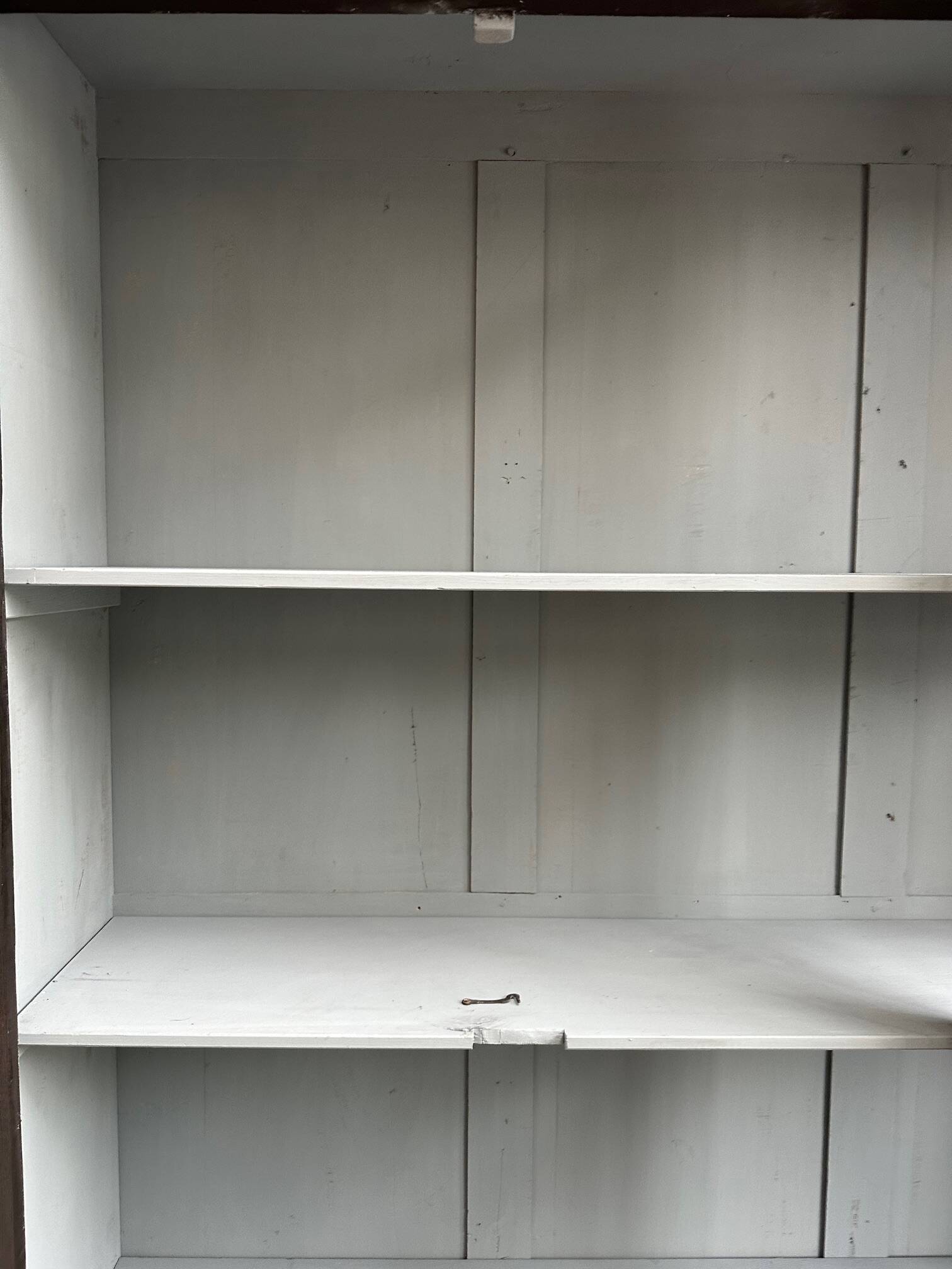 Late 19th century museum display case