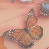 Round frame butterflies naturalized