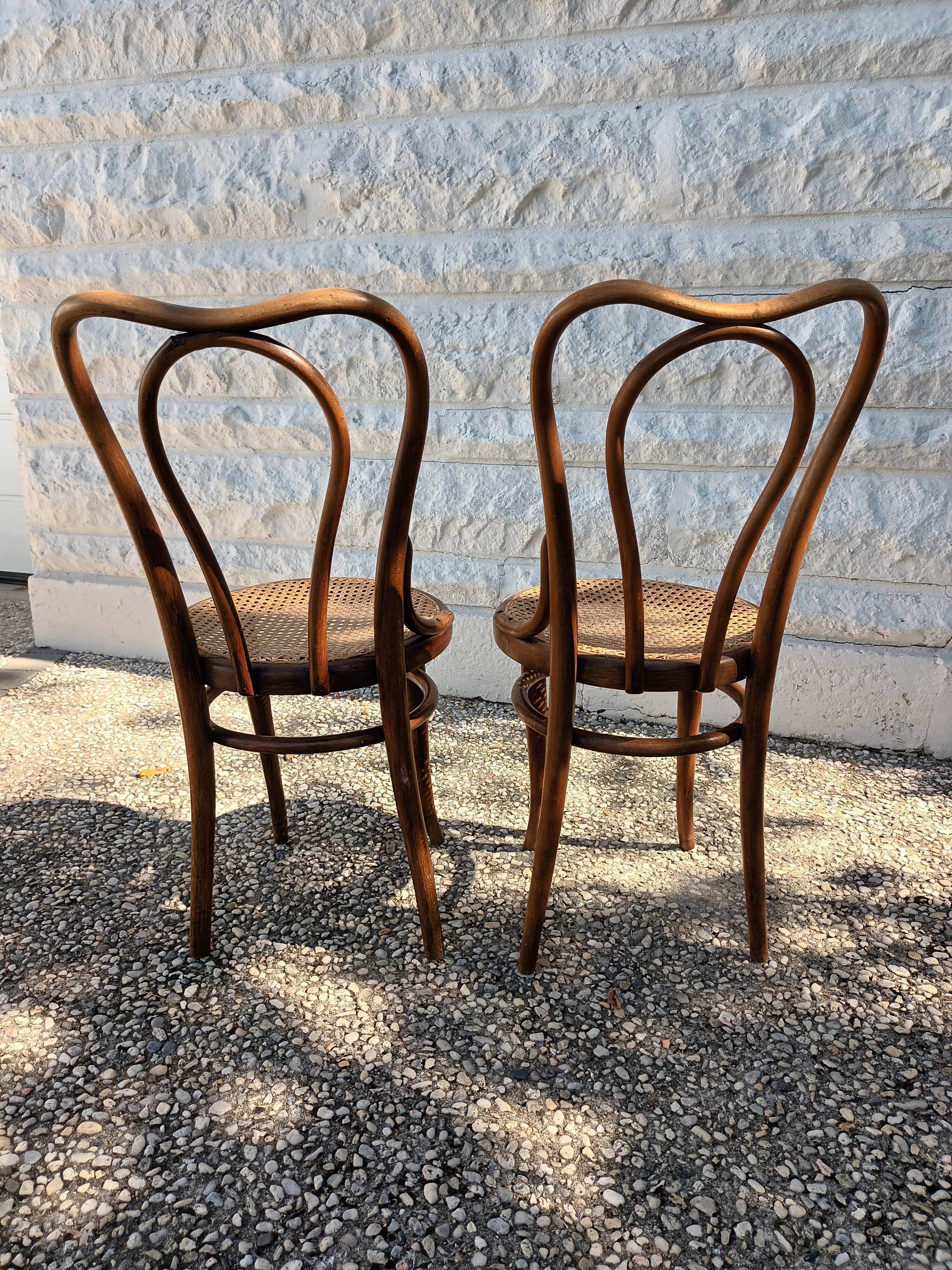 Chairs Thonet