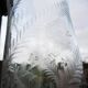 Ancient transparent glass vase with engraved plant decoration.