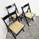 Folding Chair with Cane