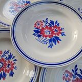 6 Salsola flat plates