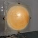 Murano Glass Flushmounts Set of 2