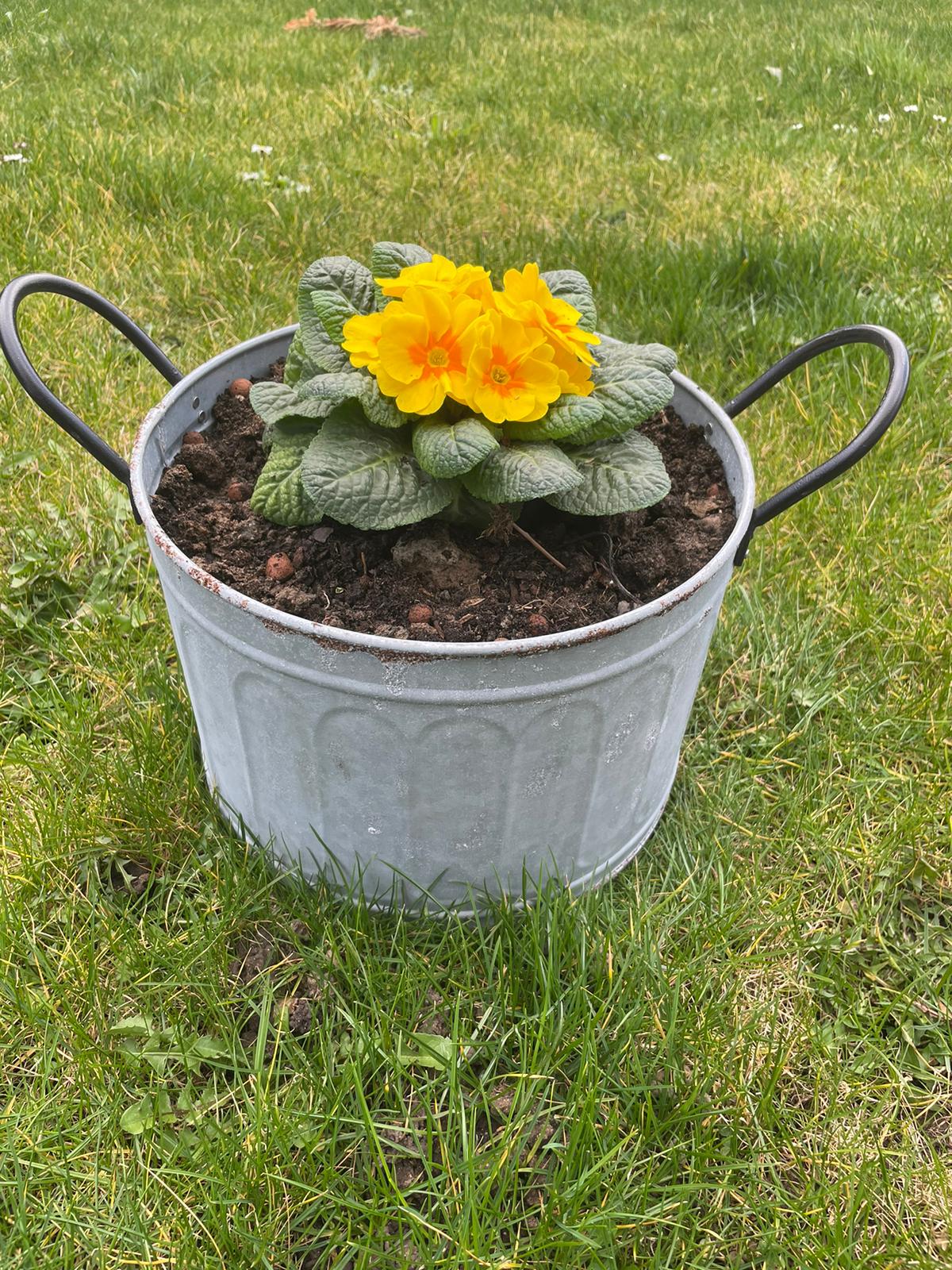 Round planter basin in vintage zinc