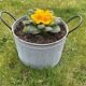 Round planter basin in vintage zinc