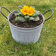 Round planter basin in vintage zinc