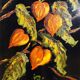 Set of five vintage flower still life paintings.