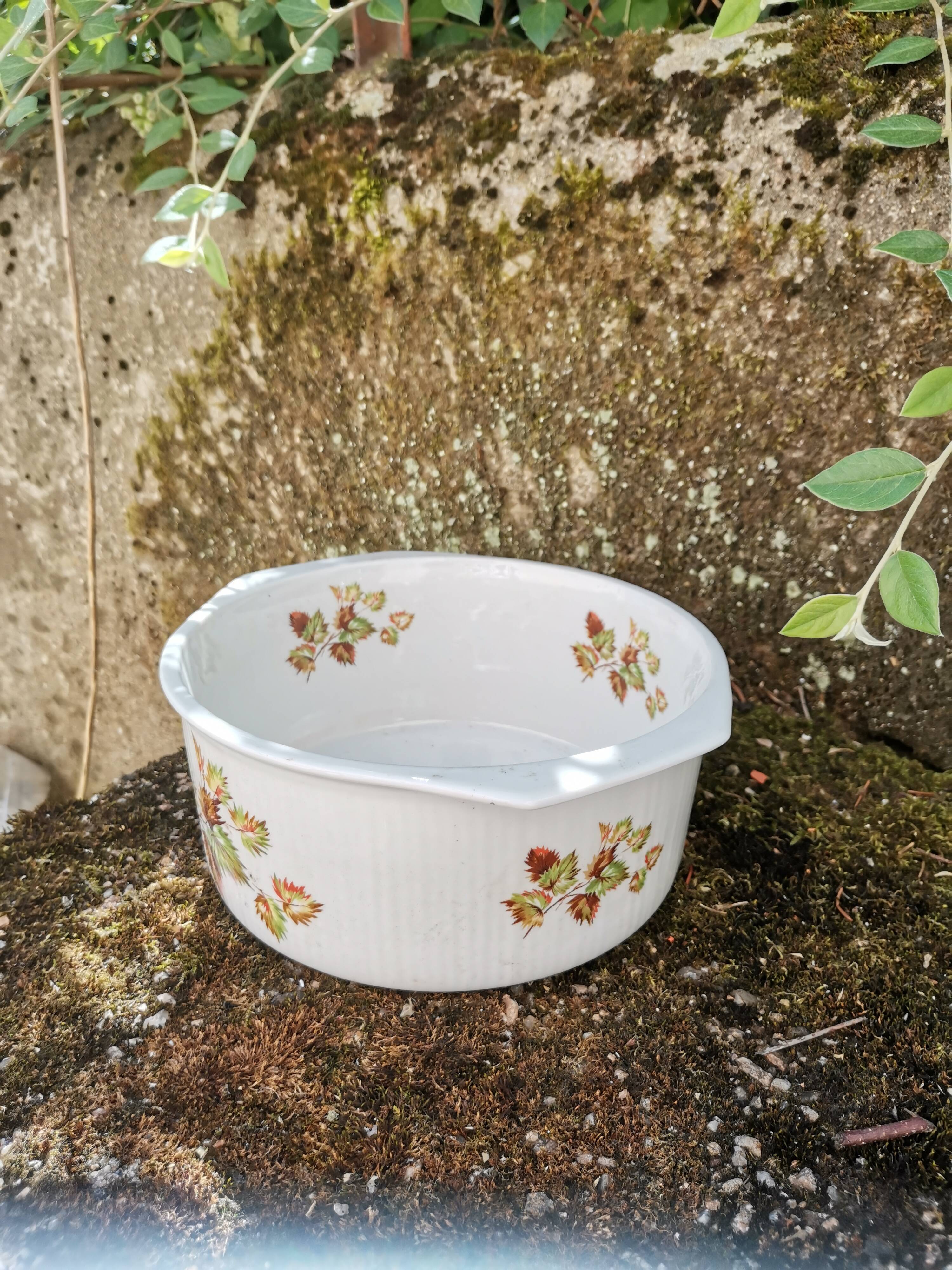 Dish Sarreguemines Digoin