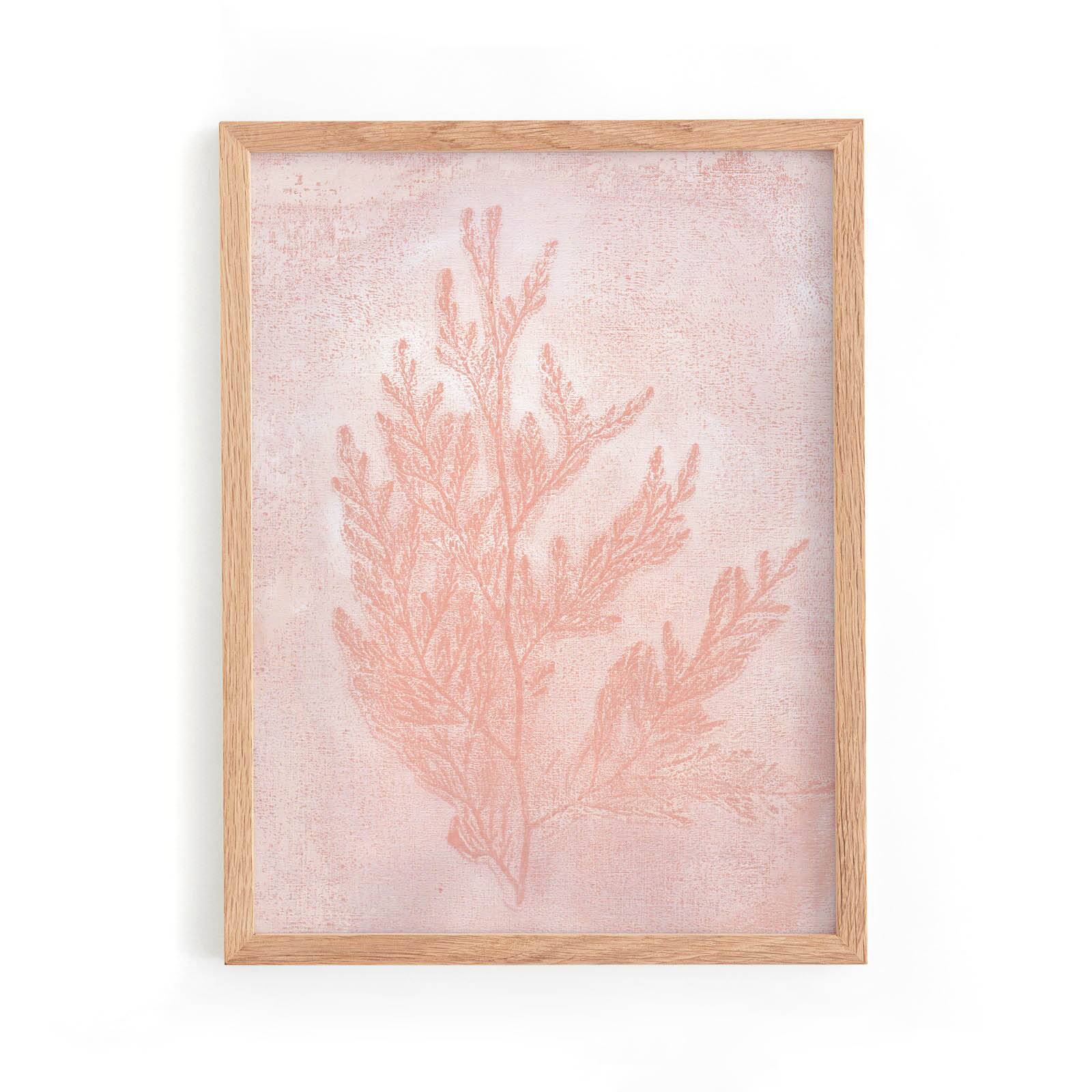 Painting on paper - 30x40cm - herbarium h486 - signed Eawy