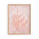 Painting on paper - 30x40cm - herbarium h486 - signed Eawy