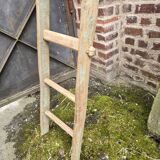Old tree trunk ladder