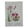 Botanical Plate 1800 Old naturalist engraving 19th century double-sided