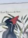Ancient ornithological engraving, green peak