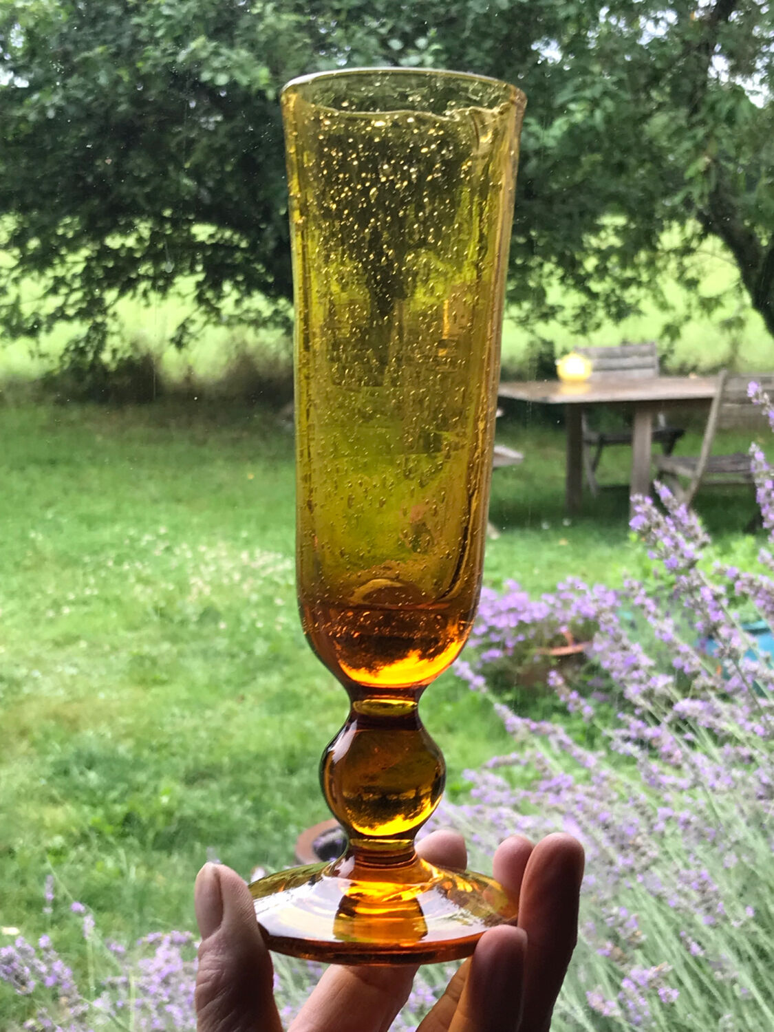 Champagne flutes bubbled amber blown