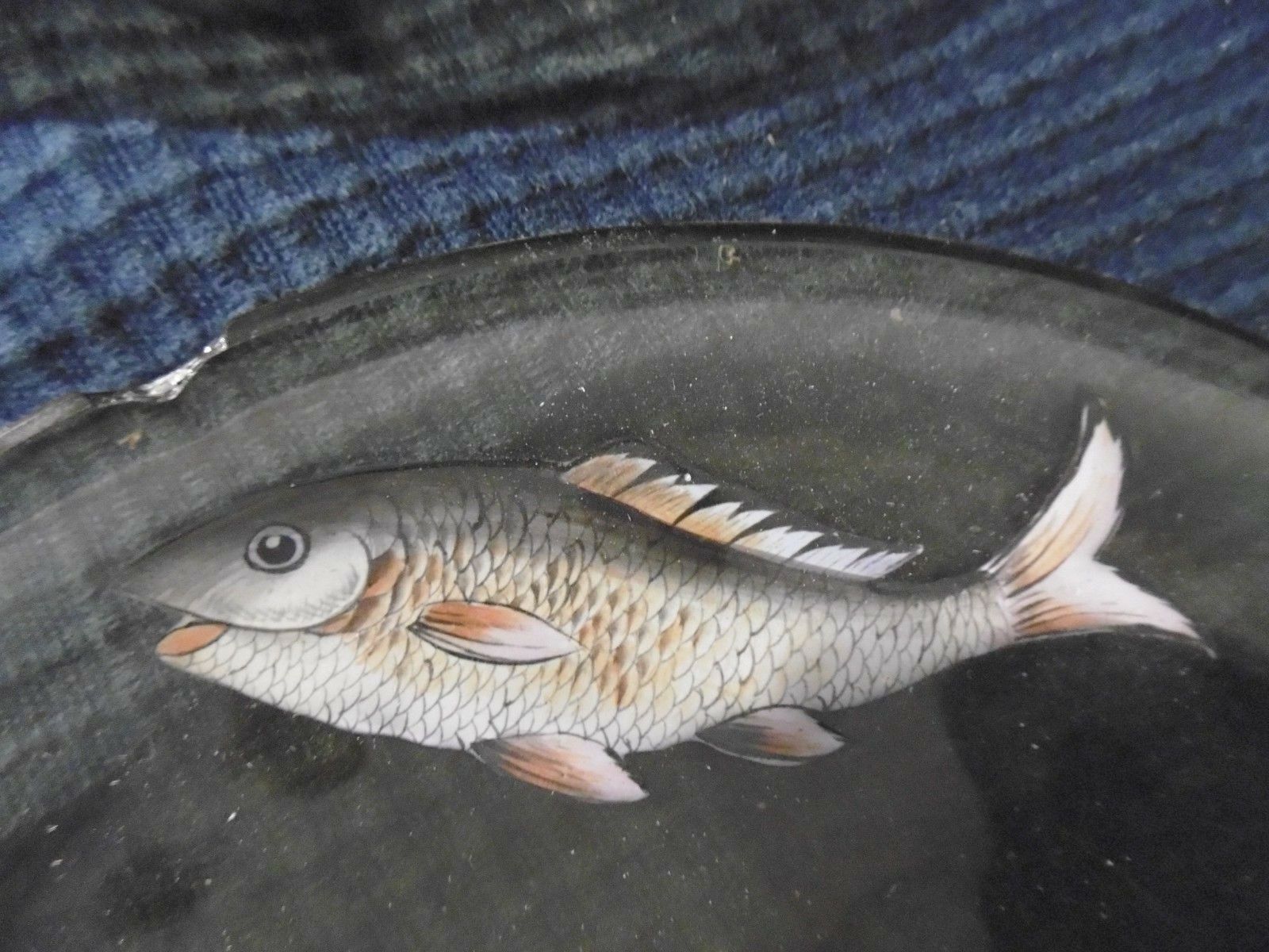 Set of 5 old plate in e emaille glass or hand-painted old fish decoration