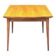 Table extensible